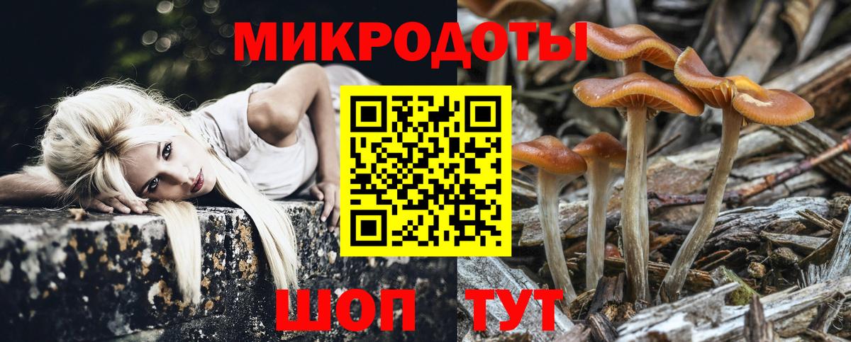 Галлюциногенные грибы GOLDEN TEACHER  Галлюциногенные грибы Magic Shrooms  Балаково  Вход с VPN 