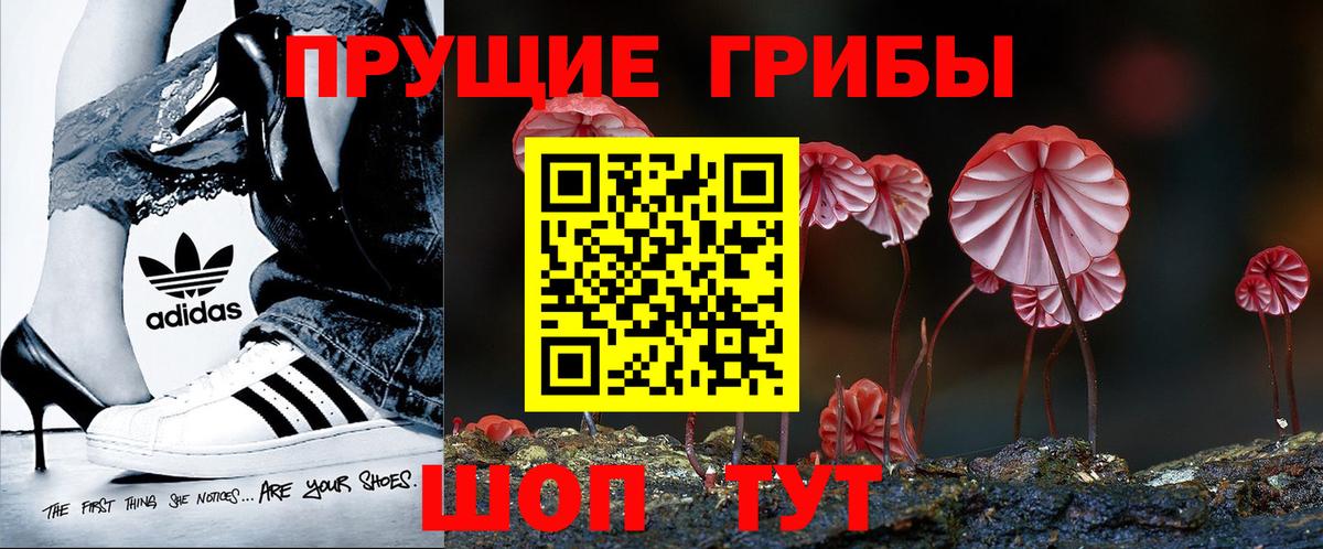 Галлюциногенные грибы ЛСД Балаково