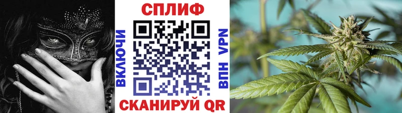 Марихуана MAZAR  Балаково 