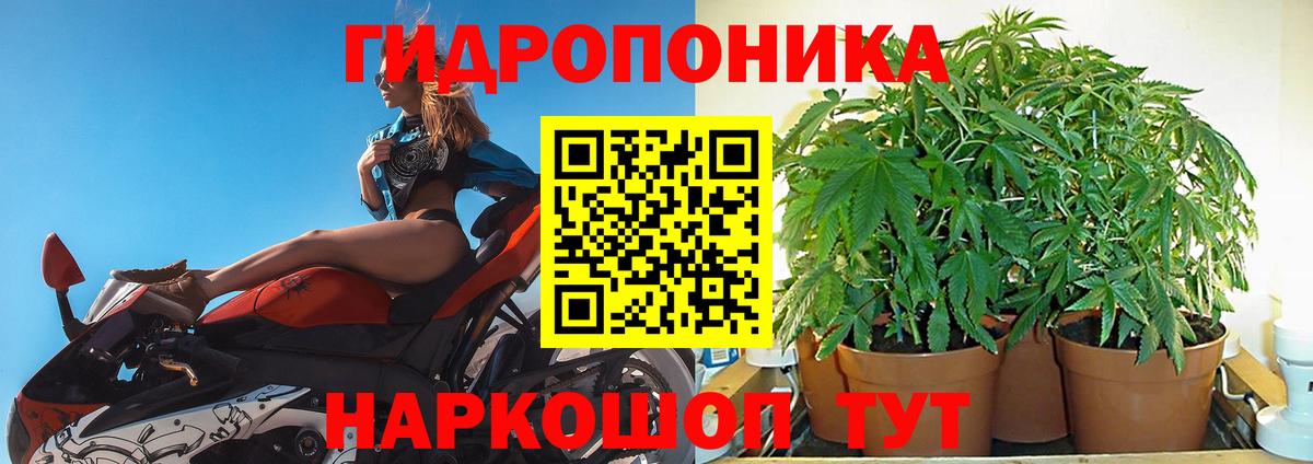 Конопля SATIVA & INDICA Балаково